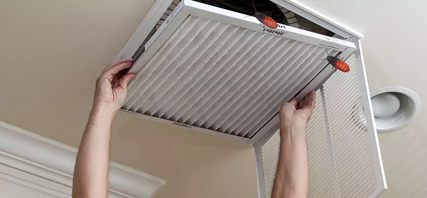 Preventive Cockroach-Proofing for Ducts in Schererville