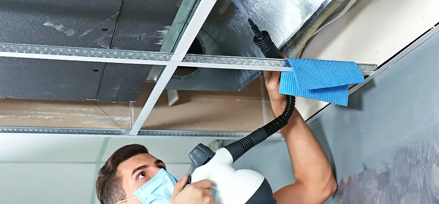 Our Air Duct Rodent Removal Services in Schererville, IN