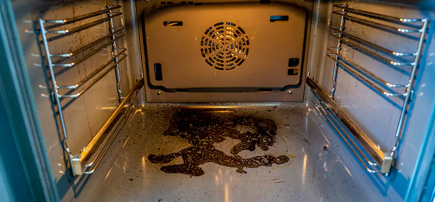 Our Dryer Vent Mold Cleaning Services in Schererville, IN