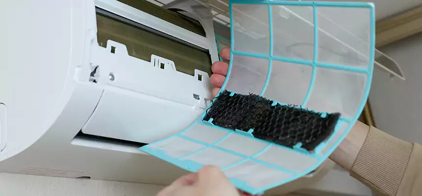 Gentle Ductwork Odor-Control Pet Dander Duct Cleaning in Schererville, IN