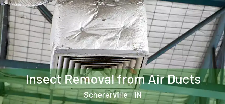  Insect Removal from Air Ducts Schererville - IN
