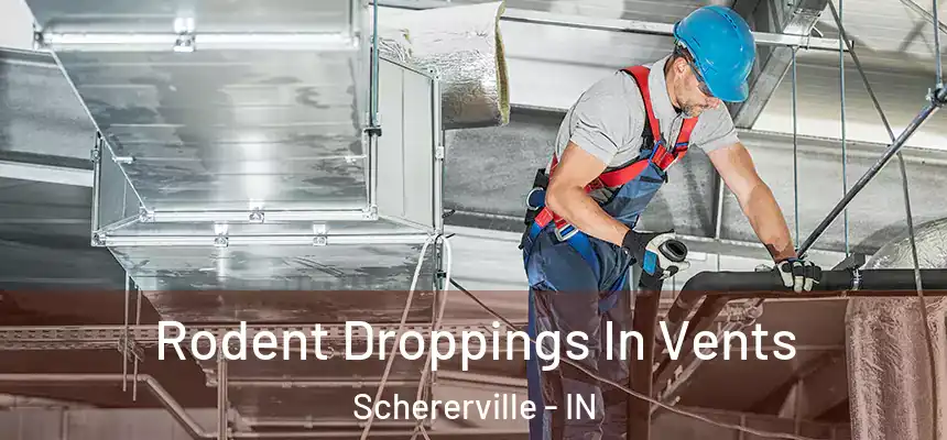 Rodent Droppings In Vents Schererville - IN