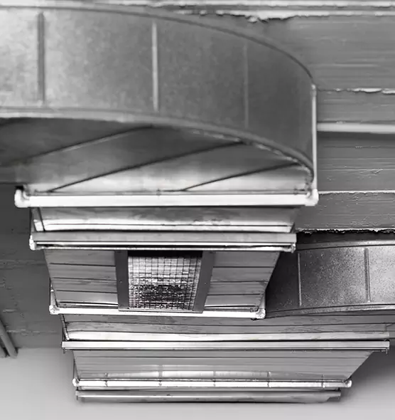 Professional Air Duct Pest Removal in Schererville, IN