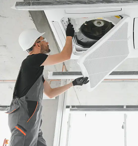 About Air Duct Rodent Removal in Schererville, IN