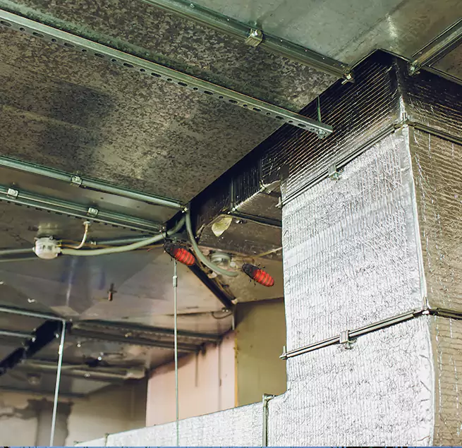 Why Homeowners & Businesses Trust Us in Schererville, IN?