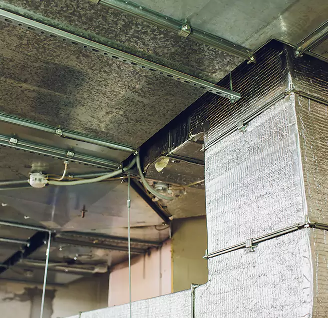 Why Homeowners & Businesses Trust Us in Schererville, IN?